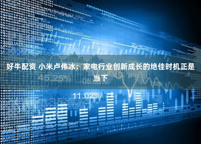 好牛配资 小米卢伟冰：家电行业创新成长的绝佳时机正是当下