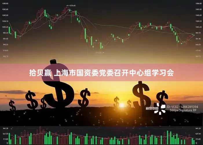 拾贝赢 上海市国资委党委召开中心组学习会