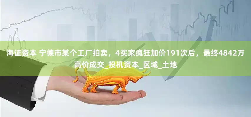 海证资本 宁德市某个工厂拍卖，4买家疯狂加价191次后，最终4842万高价成交_投机资本_区域_土地