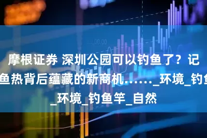 摩根证券 深圳公园可以钓鱼了？记者一探钓鱼热背后蕴藏的新商机……_环境_钓鱼竿_自然