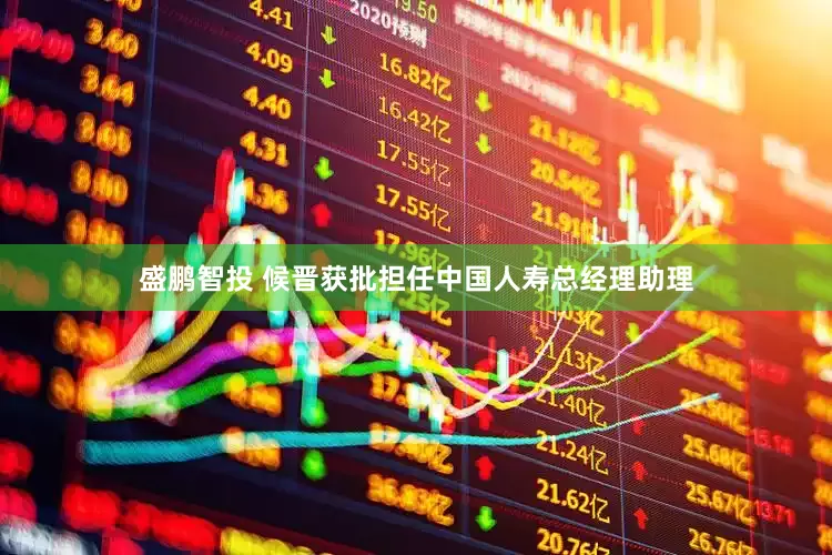 盛鹏智投 候晋获批担任中国人寿总经理助理
